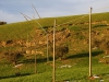 Landslide  ENEL and Telecom Italia poles