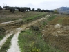 Field run-off and the road starts to wash away