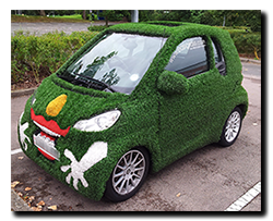 A grassy Smart car!