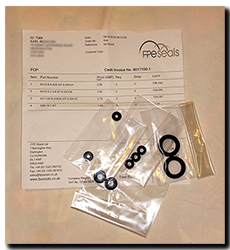 Aprilia Caponord ETV1000 Rally-Raid FPE Seals replacement master slave seal kit