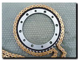 Aprilia Caponord ETV1000 Rally-Raid Ognibene 8098-45 rear sprocket and DID ZVM-X chain