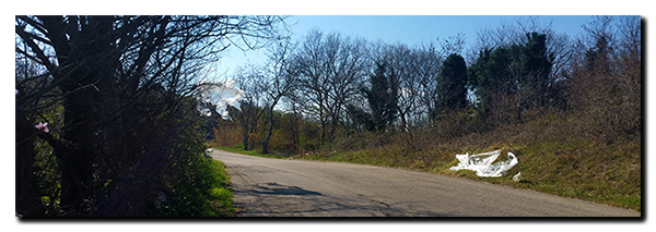 Aprilia Caponord ETV1000 Rally-Raid plastic on road and in the tree